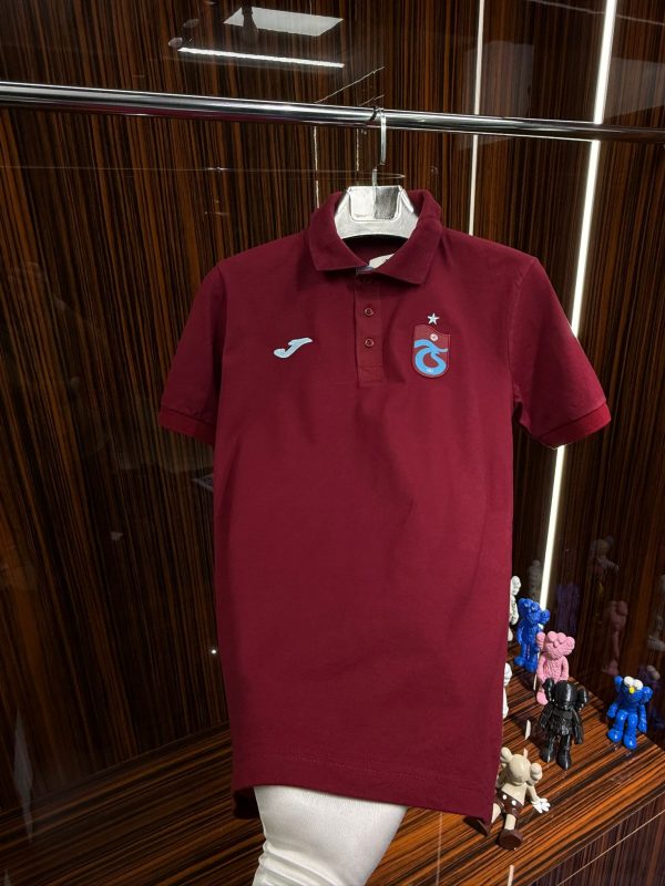 TS Polo Yaka Tshirt - Görsel 2